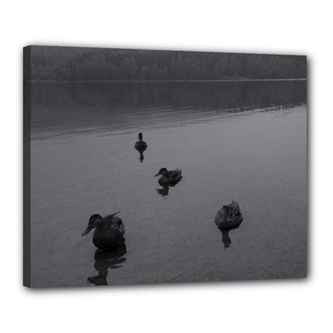 Ducks 16  X 20  Framed Canvas Print by artposters