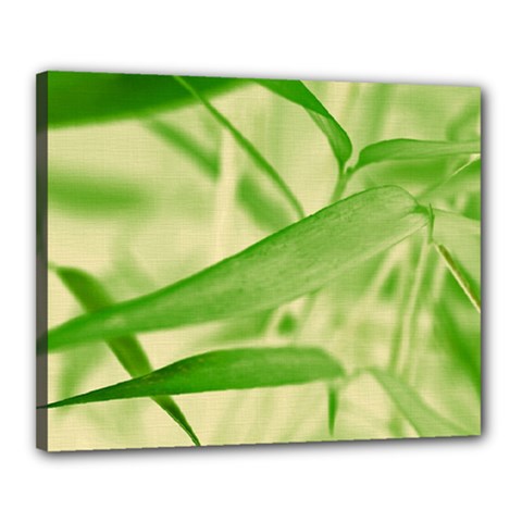 Bamboo Canvas 20  X 16  (framed) by Siebenhuehner
