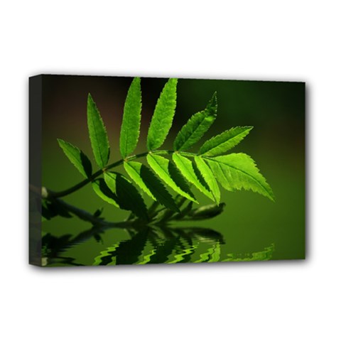 Leaf Deluxe Canvas 18  X 12  (framed) by Siebenhuehner
