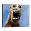 Haflinger  Canvas 20  x 16  (Framed) View1