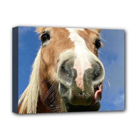 Haflinger  Deluxe Canvas 16  X 12  (framed)  by Siebenhuehner