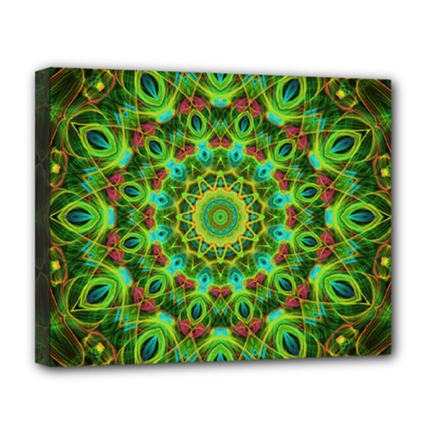 Peacock Feathers Mandala Deluxe Canvas 20  X 16  (framed) by Zandiepants