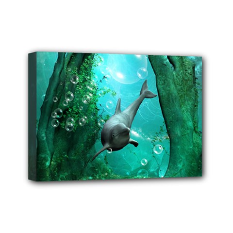 Wonderful Dolphin Mini Canvas 7  X 5  by FantasyWorld7