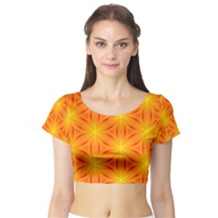 Cute Pretty Elegant Pattern Short Sleeve Crop Top by GardenOfOphir