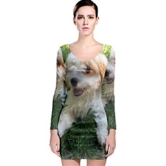 Cute Cavapoo Puppy Long Sleeve Bodycon Dresses by trendistuff