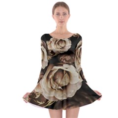 Roses Flowers Long Sleeve Skater Dress by vanessagf