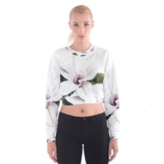 White Magnolia Pencil Drawing Art Women s Cropped Sweatshirt by picsaspassion