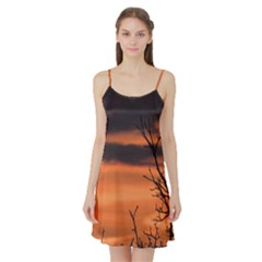 Tree Branches And Sunset Satin Night Slip by picsaspassion