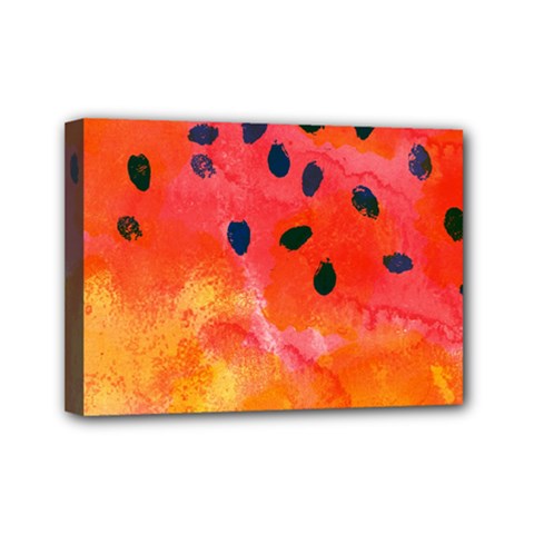 Abstract Watermelon Mini Canvas 7  X 5  by DanaeStudio