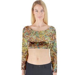 Art Modern Painting Acrylic Canvas Long Sleeve Crop Top by Amaryn4rt