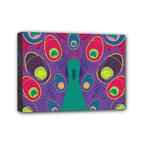 Peacock Bird Animal Feathers Mini Canvas 7  X 5  by Amaryn4rt