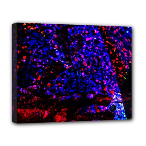 Grunge Abstract Deluxe Canvas 20  X 16   by Amaryn4rt