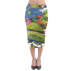 Beautifull Parrots Bird Velvet Midi Pencil Skirt by Nexatart