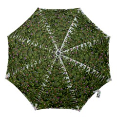 New Year S Eve New Year S Day Hook Handle Umbrellas (medium) by Nexatart