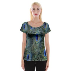 Peacock Feathers Blue Bird Nature Women s Cap Sleeve Top by Amaryn4rt