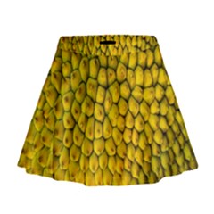 Jack Shell Jack Fruit Close Mini Flare Skirt by Amaryn4rt