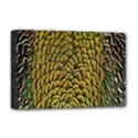 Colorful Iridescent Feather Bird Color Peacock Deluxe Canvas 18  x 12   View1