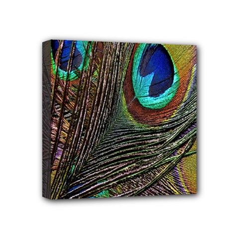 Peacock Feathers Mini Canvas 4  X 4  by Simbadda