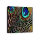 Peacock Feathers Mini Canvas 4  x 4  View1