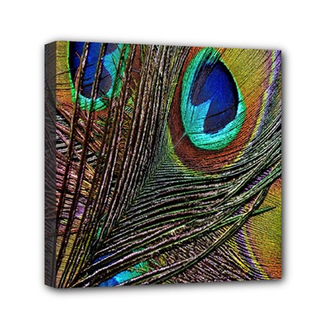 Peacock Feathers Mini Canvas 6  X 6  by Simbadda
