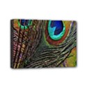 Peacock Feathers Mini Canvas 7  x 5  View1