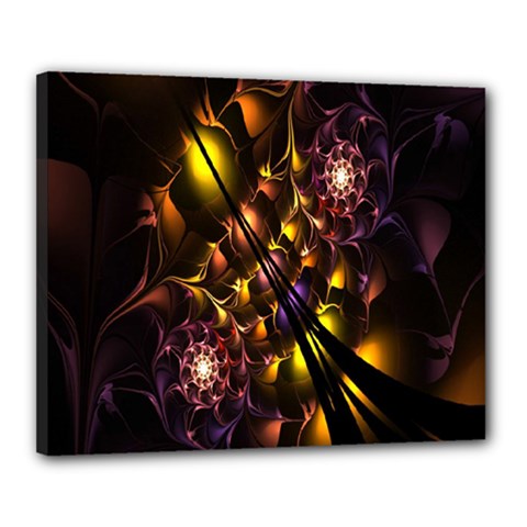 Art Design Image Oily Spirals Texture Canvas 20  X 16  by Simbadda