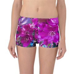 Pretty In Fuchsia Reversible Bikini Bottoms by dawnsiegler