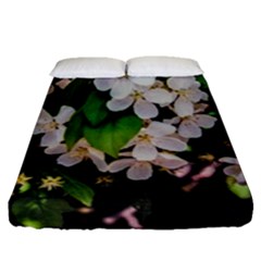 Tree Blossoms Fitted Sheet (queen Size) by dawnsiegler