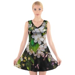 Tree Blossoms V-neck Sleeveless Skater Dress by dawnsiegler