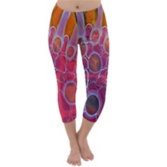 Micro Macro Belle Fisher Nature Stone Capri Winter Leggings  by Mariart