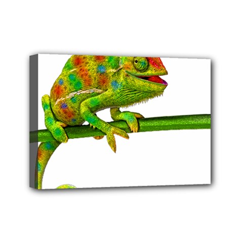 Chameleons Mini Canvas 7  X 5  by Valentinaart