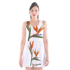 Bird Of Paradise Scoop Neck Skater Dress by Valentinaart