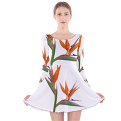 Bird Of Paradise Long Sleeve Velvet Skater Dress by Valentinaart