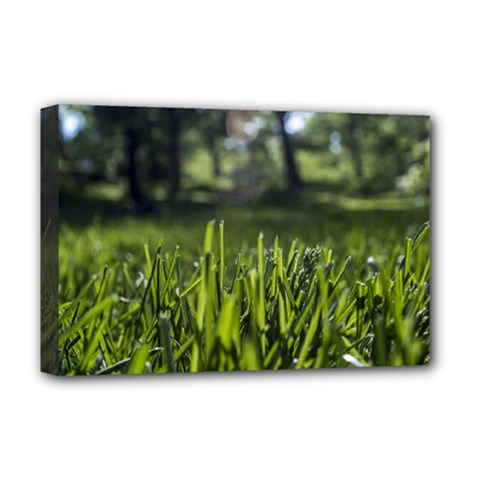Green Grass Field Deluxe Canvas 18  X 12   by paulaoliveiradesign