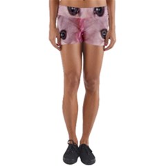 Cat  Animal  Kitten  Pet Yoga Shorts by BangZart