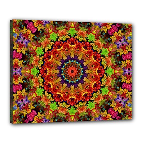 Fractal Mandala Abstract Pattern Canvas 20  X 16  by paulaoliveiradesign