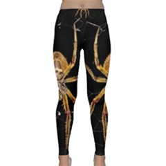 Insect Macro Spider Colombia Classic Yoga Leggings by BangZart