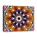 Kaleidoscope Pattern Kaleydograf Deluxe Canvas 20  x 16   View1