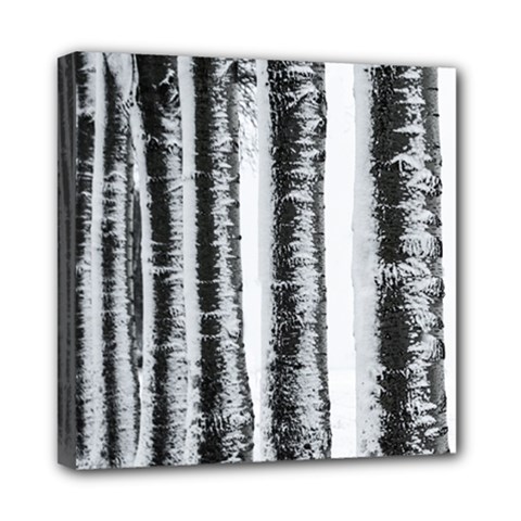Row Trees Nature Birch Mini Canvas 8  X 8  by Celenk