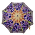 Fruit Plums Art Abstract Nature Hook Handle Umbrellas (Small) View1
