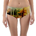 Tree Park Bench Art Abstract Reversible Mid-Waist Bikini Bottoms View1