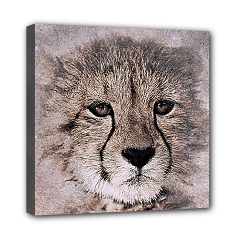 Leopard Art Abstract Vintage Baby Mini Canvas 8  X 8  by Celenk