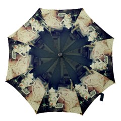 Abandonded Dollhouse Hook Handle Umbrellas (small) by snowwhitegirl