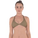 Brownish Halter Neck Bikini Top View1