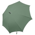 Mossy Green Hook Handle Umbrellas (Large) View2