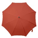 Dark Papaya Hook Handle Umbrellas (Small) View1