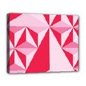 3d Pattern Experiments Deluxe Canvas 20  x 16   View1