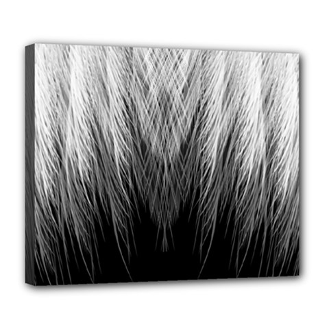 Feather Graphic Design Background Deluxe Canvas 24  X 20   by Sapixe