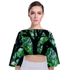 Lake Park 3 Tie Back Butterfly Sleeve Chiffon Top by bestdesignintheworld