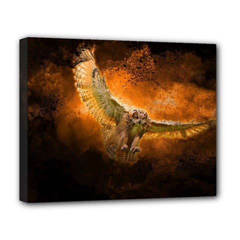Art Creative Graphic Arts Owl Deluxe Canvas 20  X 16   by Sapixe